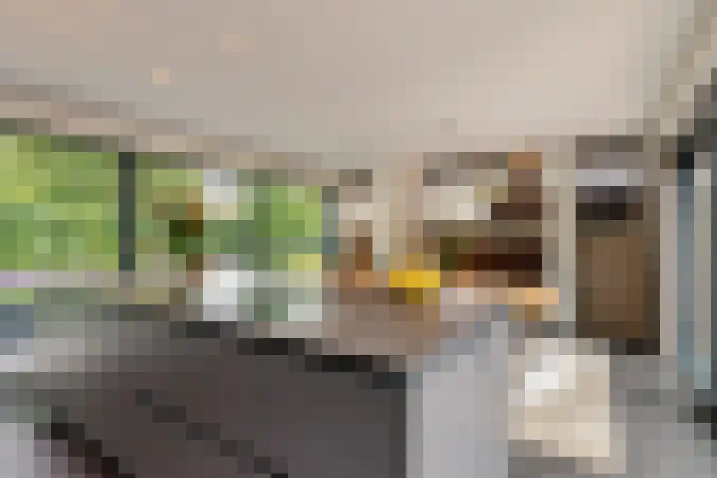 Nieuwhuis 2 Mierlo thumbnail 17
