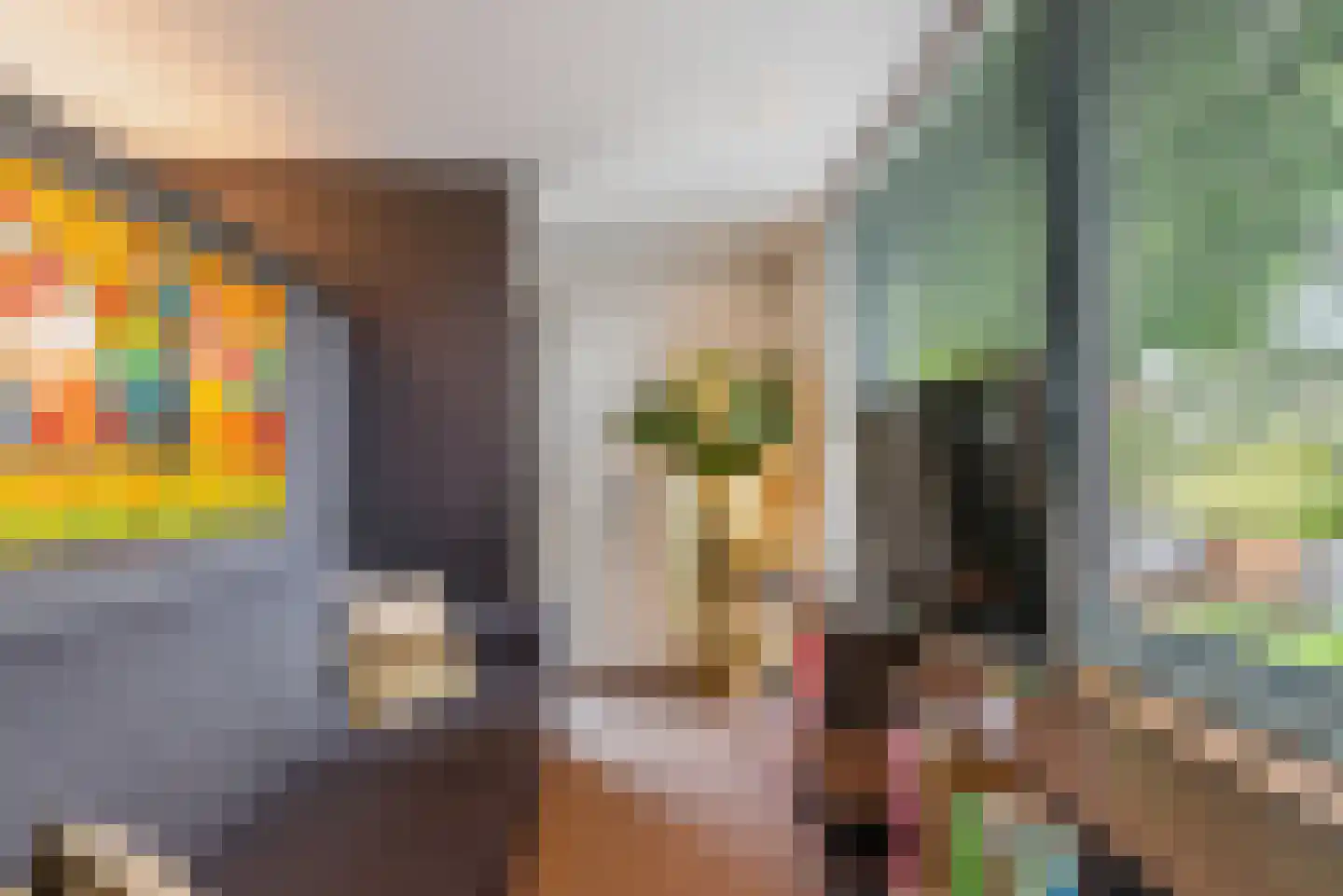Nieuwhuis 2 Mierlo thumbnail 18