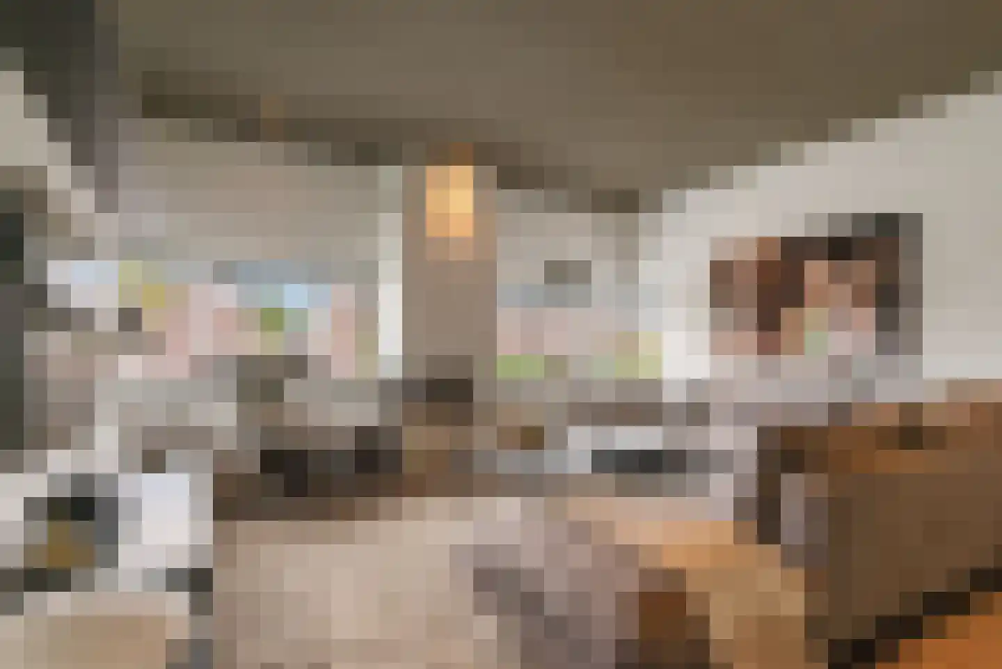 Nieuwhuis 2 Mierlo thumbnail 20