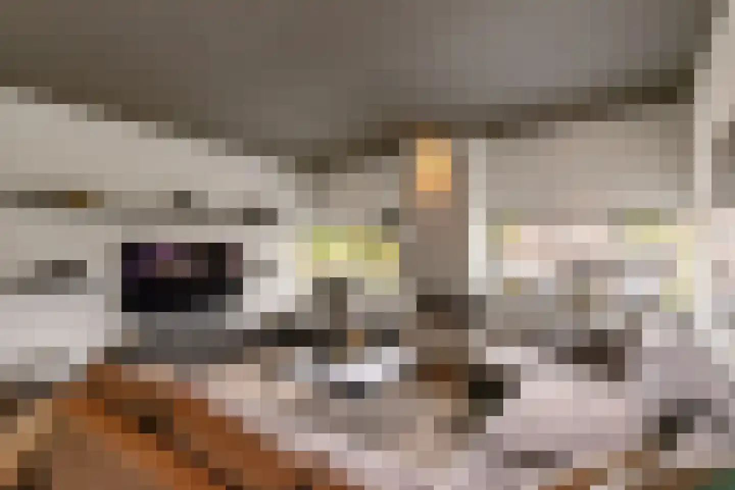 Nieuwhuis 2 Mierlo thumbnail 21