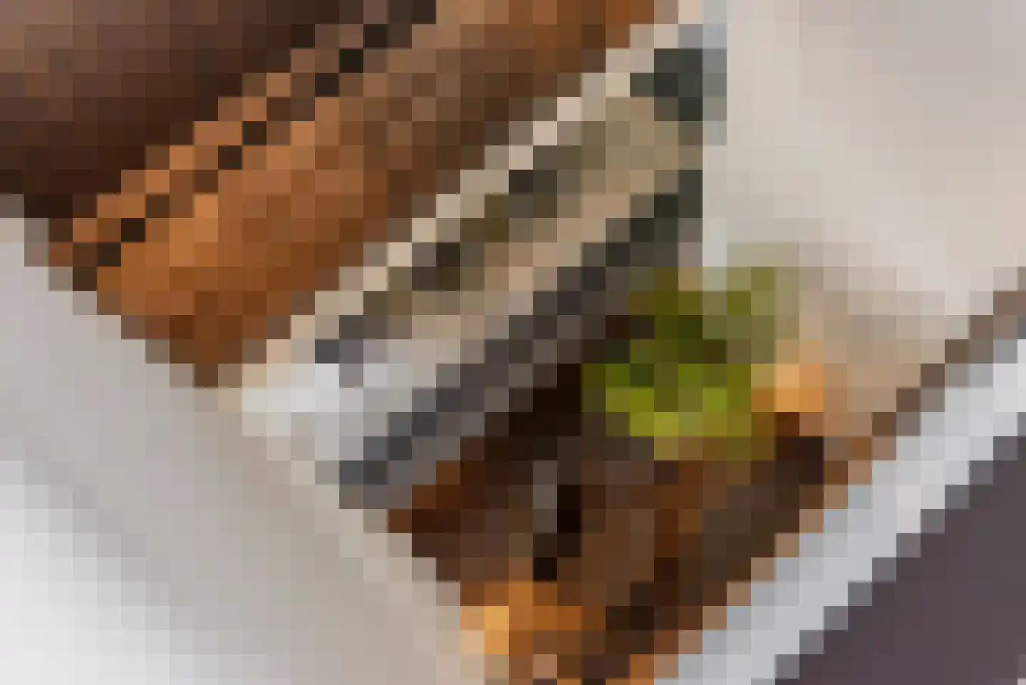 Nieuwhuis 2 Mierlo thumbnail 23
