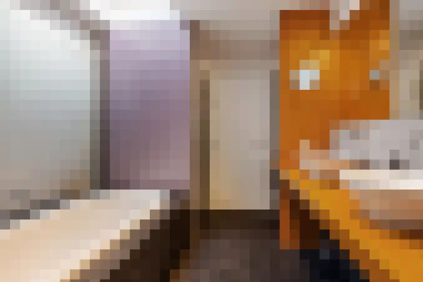Nieuwhuis 2 Mierlo thumbnail 25