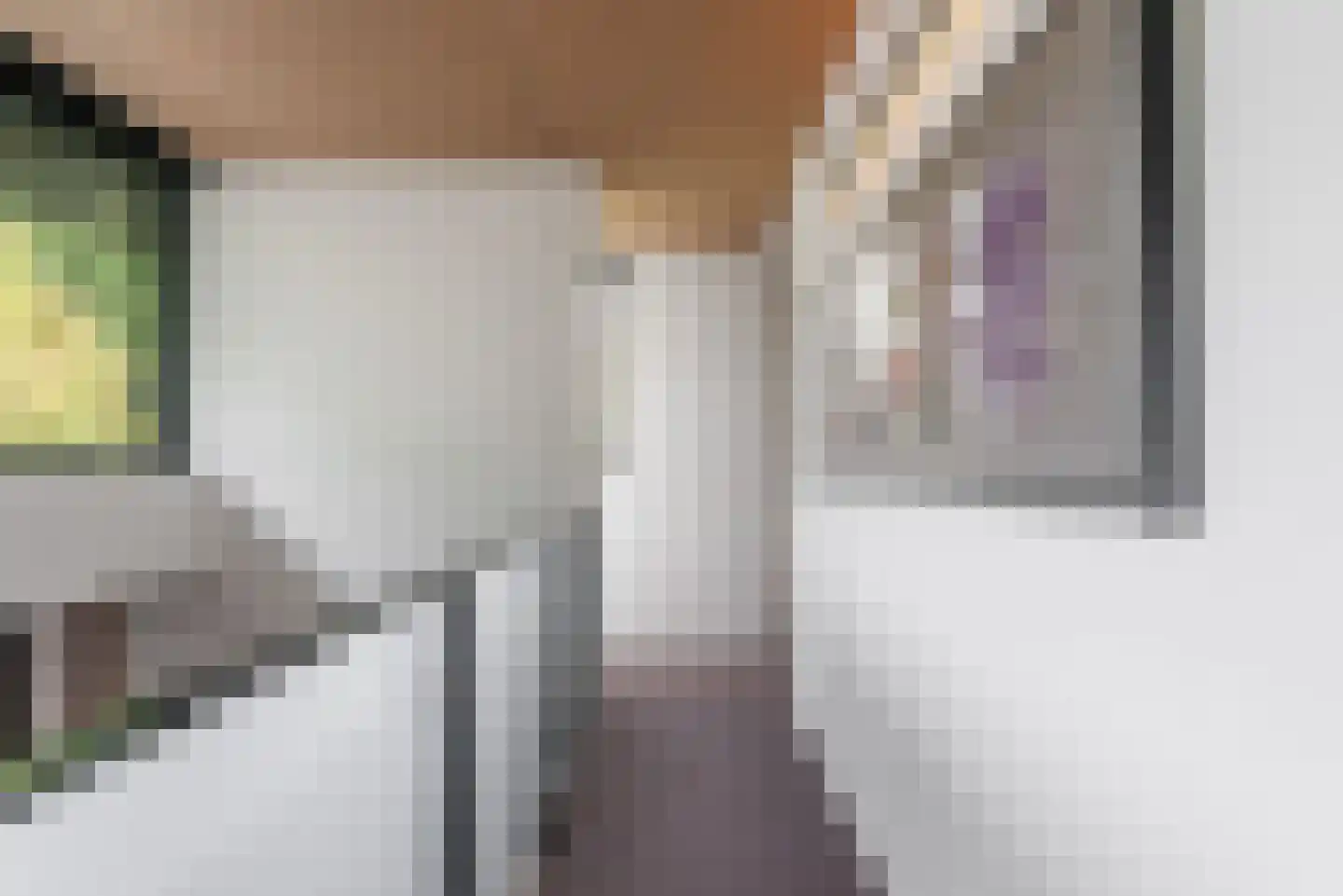 Nieuwhuis 2 Mierlo thumbnail 28