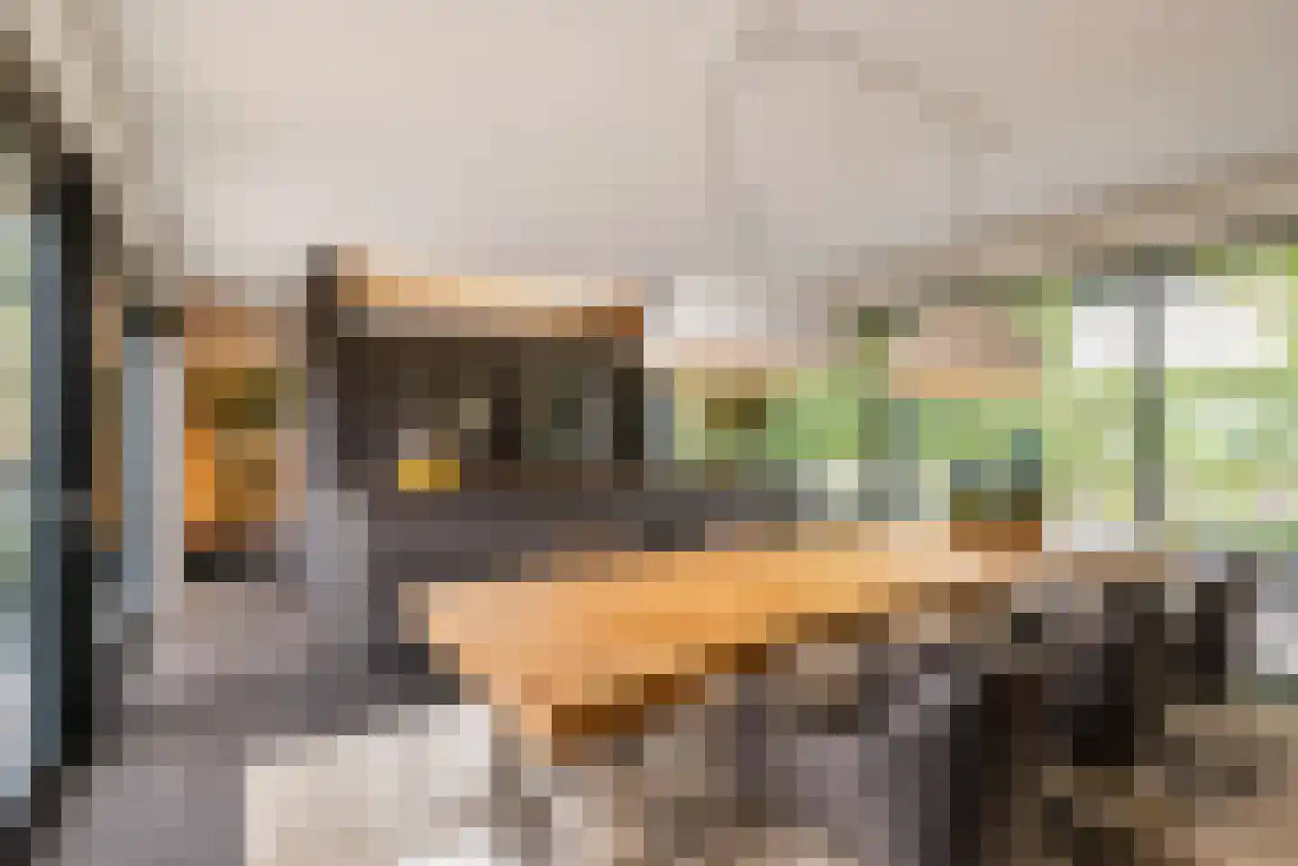 Nieuwhuis 2 Mierlo foto 3