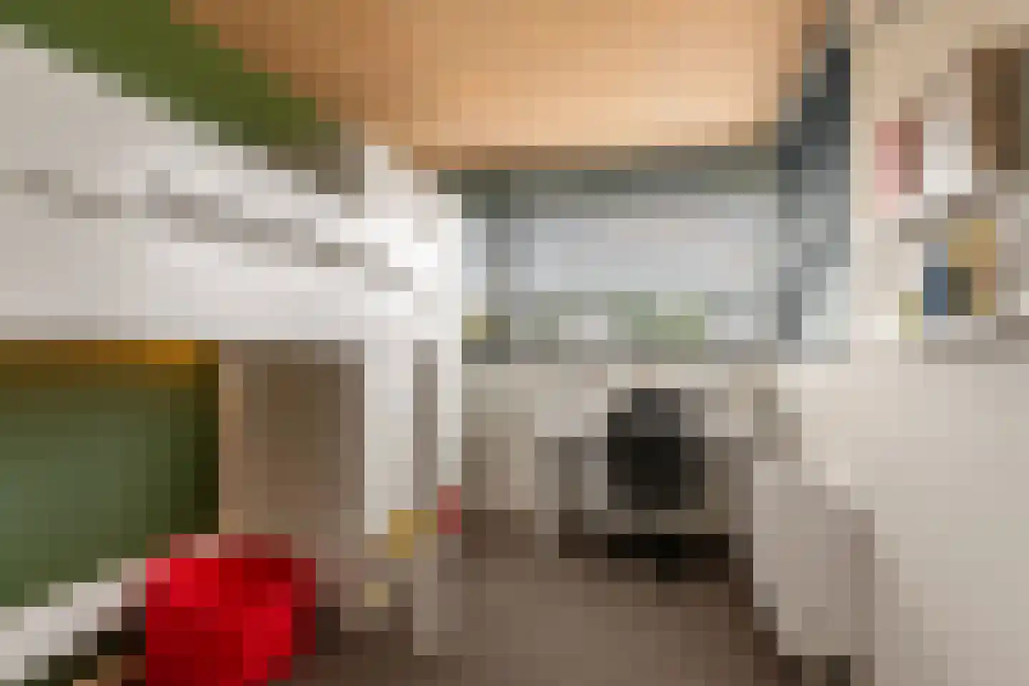 Nieuwhuis 2 Mierlo thumbnail 30