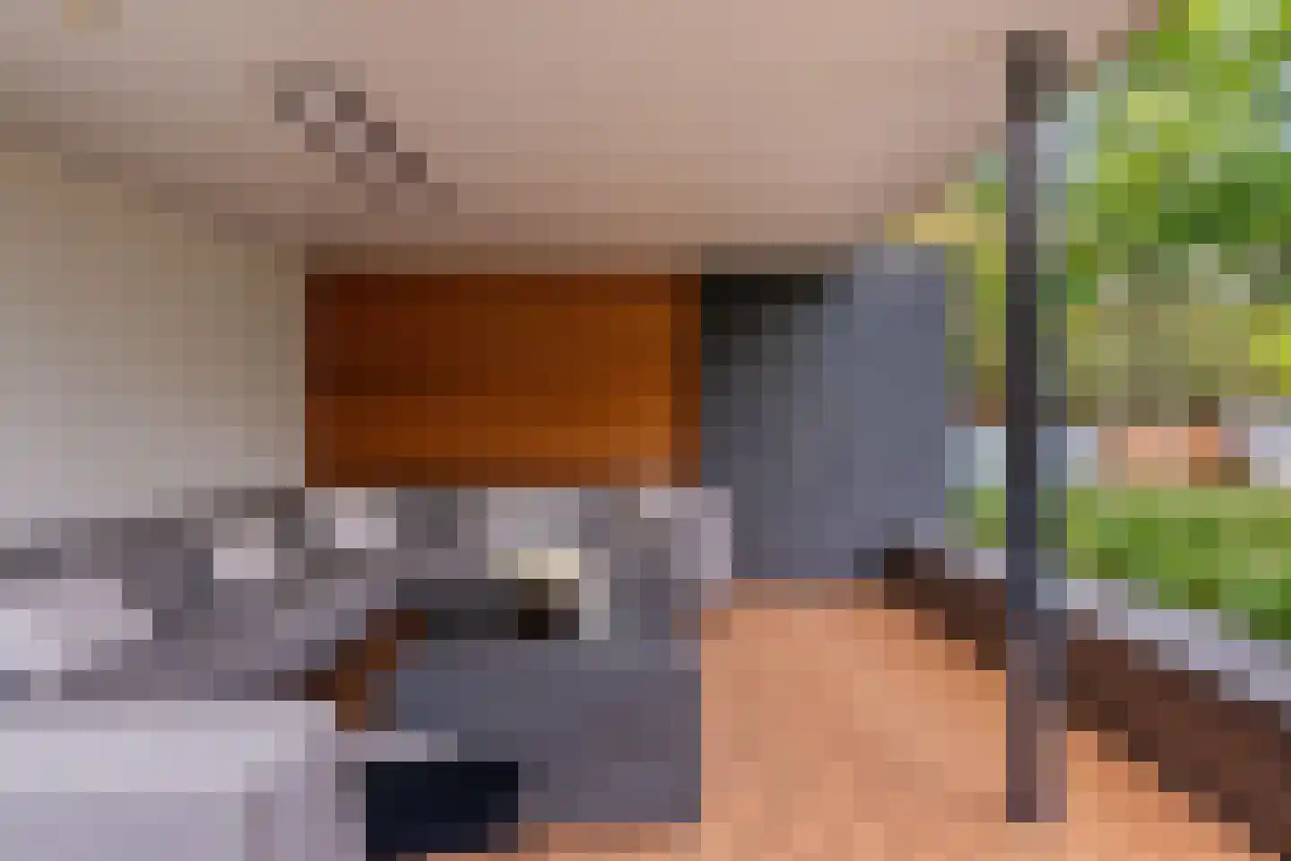 Nieuwhuis 2 Mierlo thumbnail 41