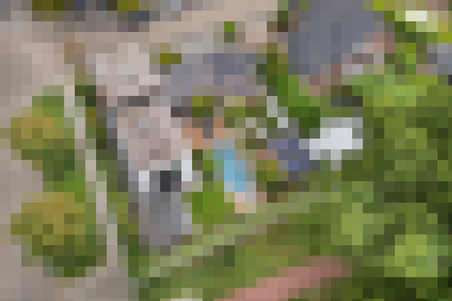 Nieuwhuis 2 Mierlo thumbnail 48