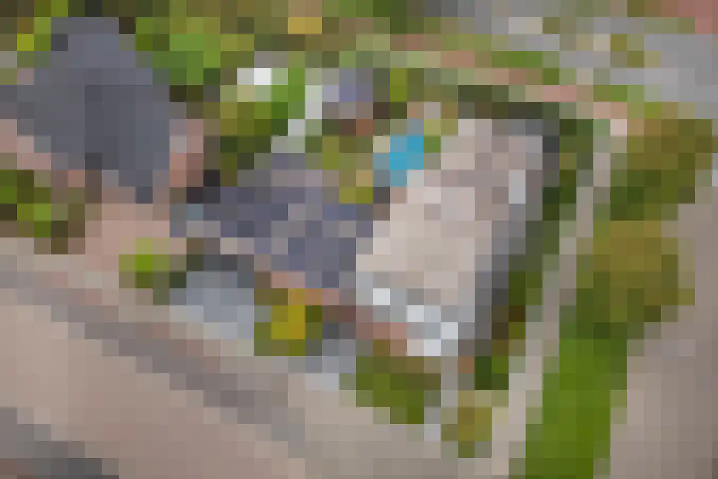 Nieuwhuis 2 Mierlo thumbnail 49