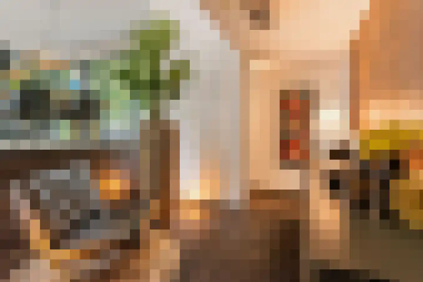Nieuwhuis 2 Mierlo thumbnail 9