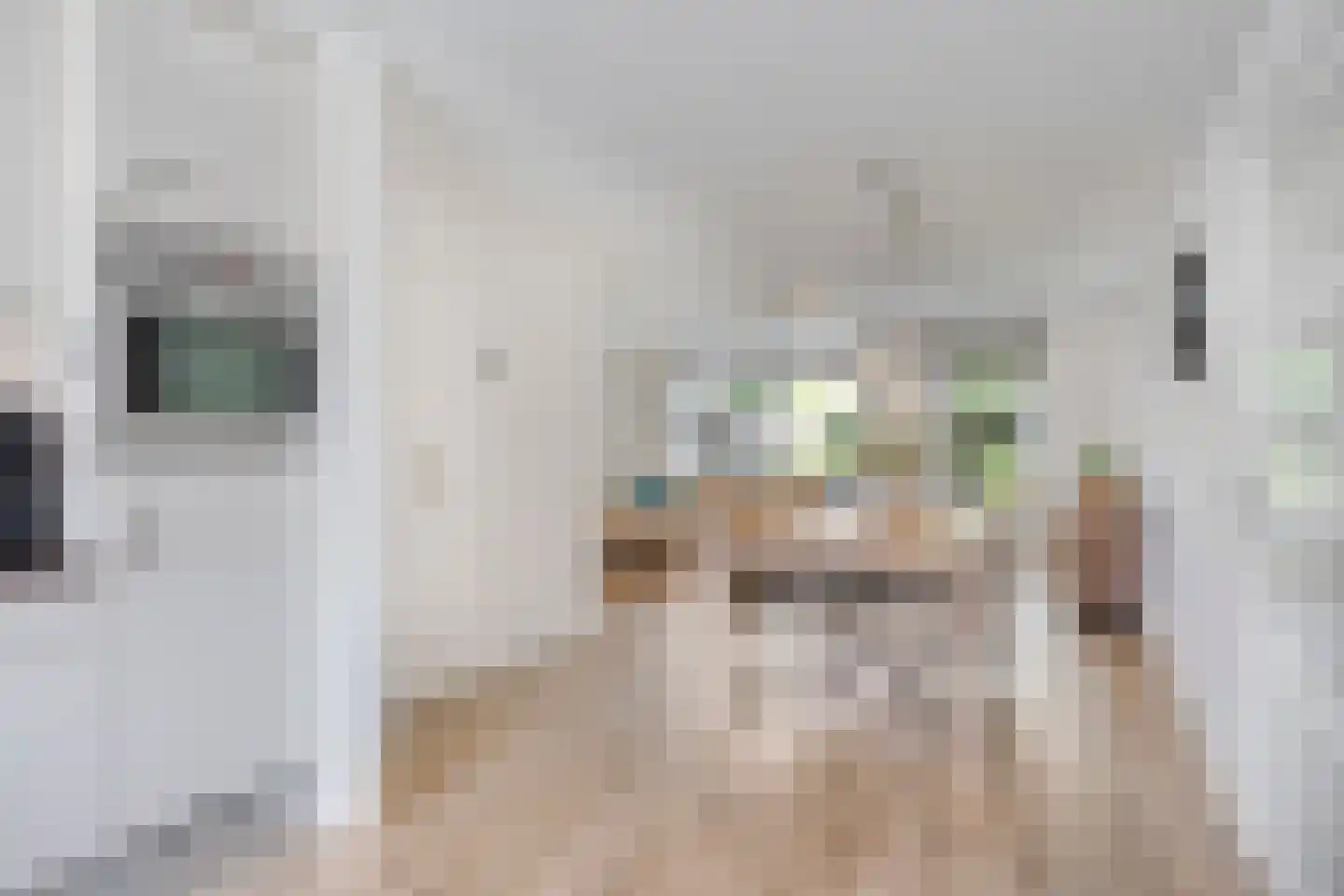 Nieuwhuis 23 Mierlo thumbnail 10