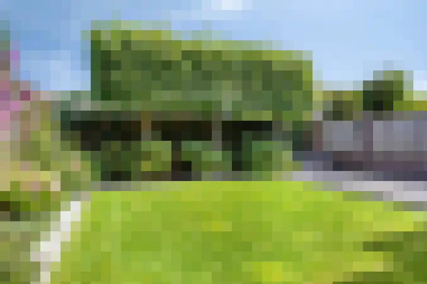 Nieuwhuis 23 Mierlo thumbnail 19