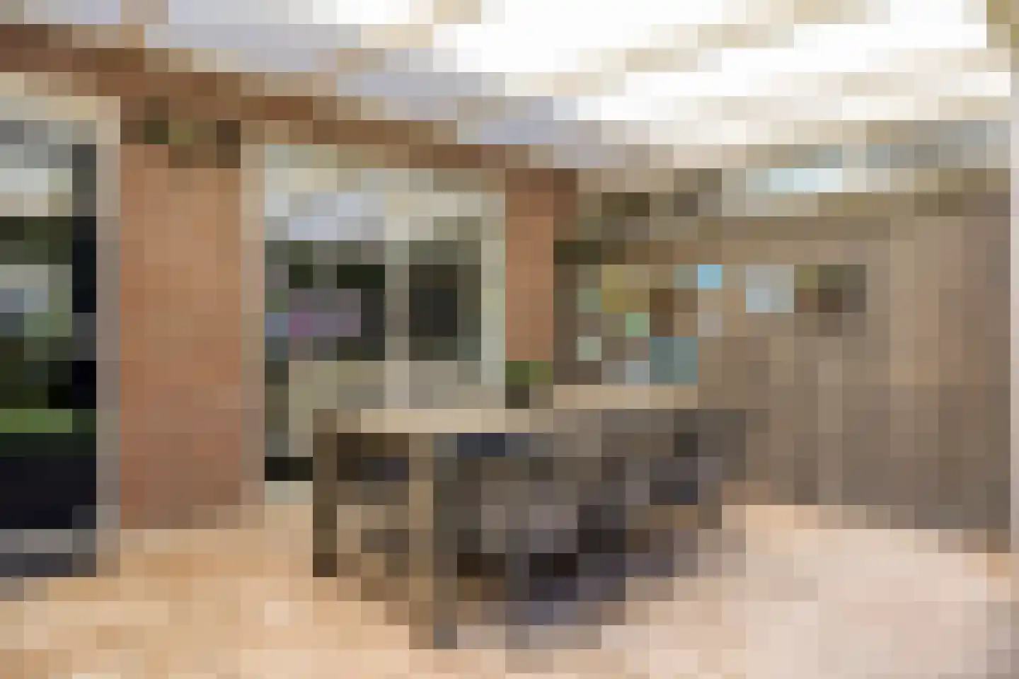Nieuwhuis 23 Mierlo thumbnail 20