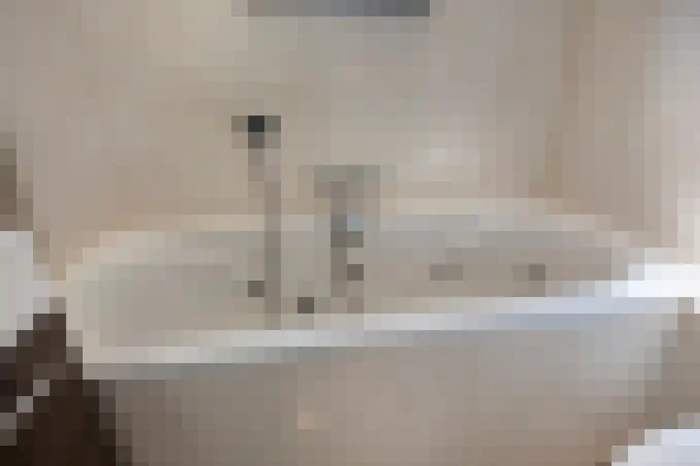 Nieuwhuis 23 Mierlo thumbnail 25
