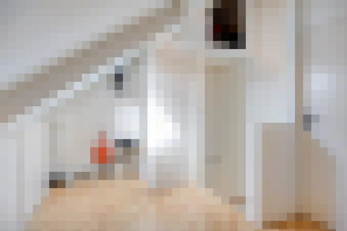 Nieuwhuis 23 Mierlo thumbnail 32