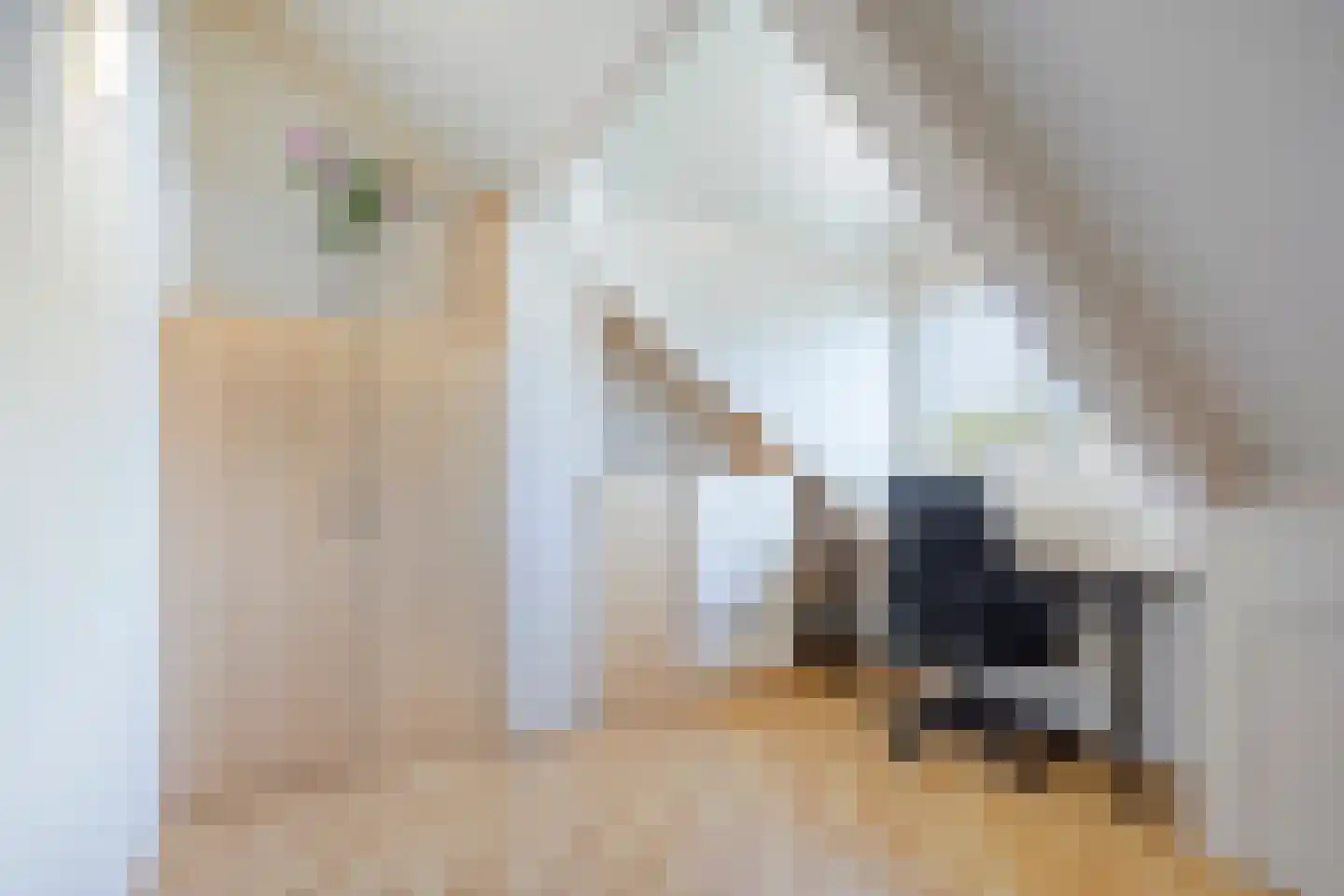 Nieuwhuis 23 Mierlo thumbnail 34