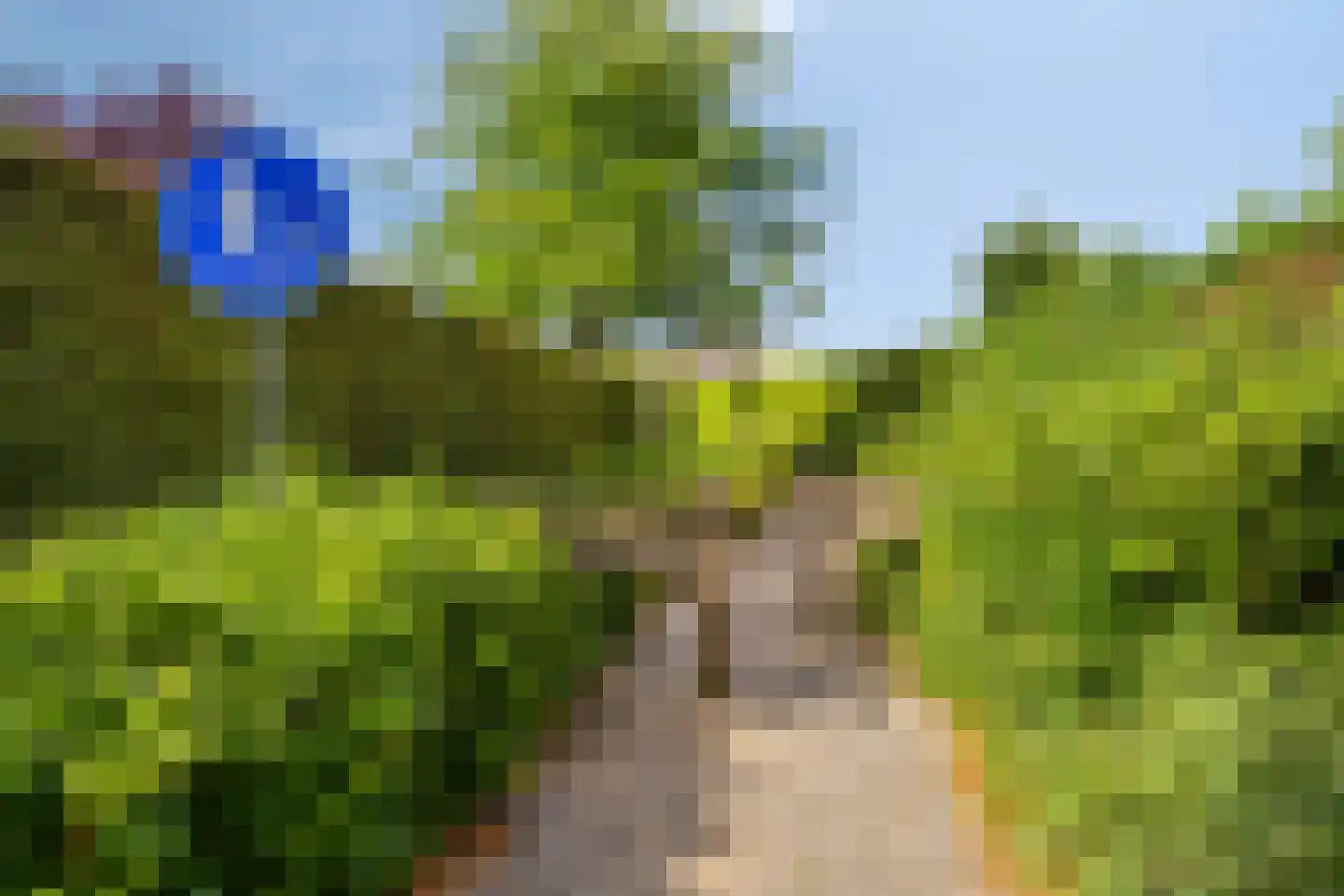 Nieuwhuis 23 Mierlo thumbnail 37
