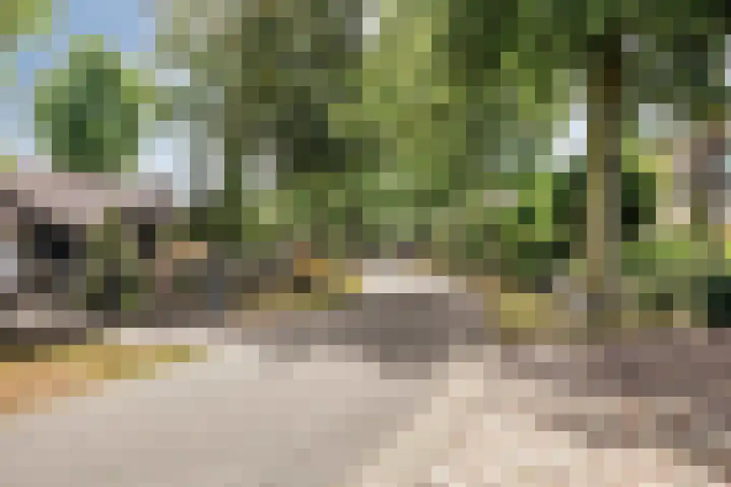 Nieuwhuis 23 Mierlo thumbnail 38