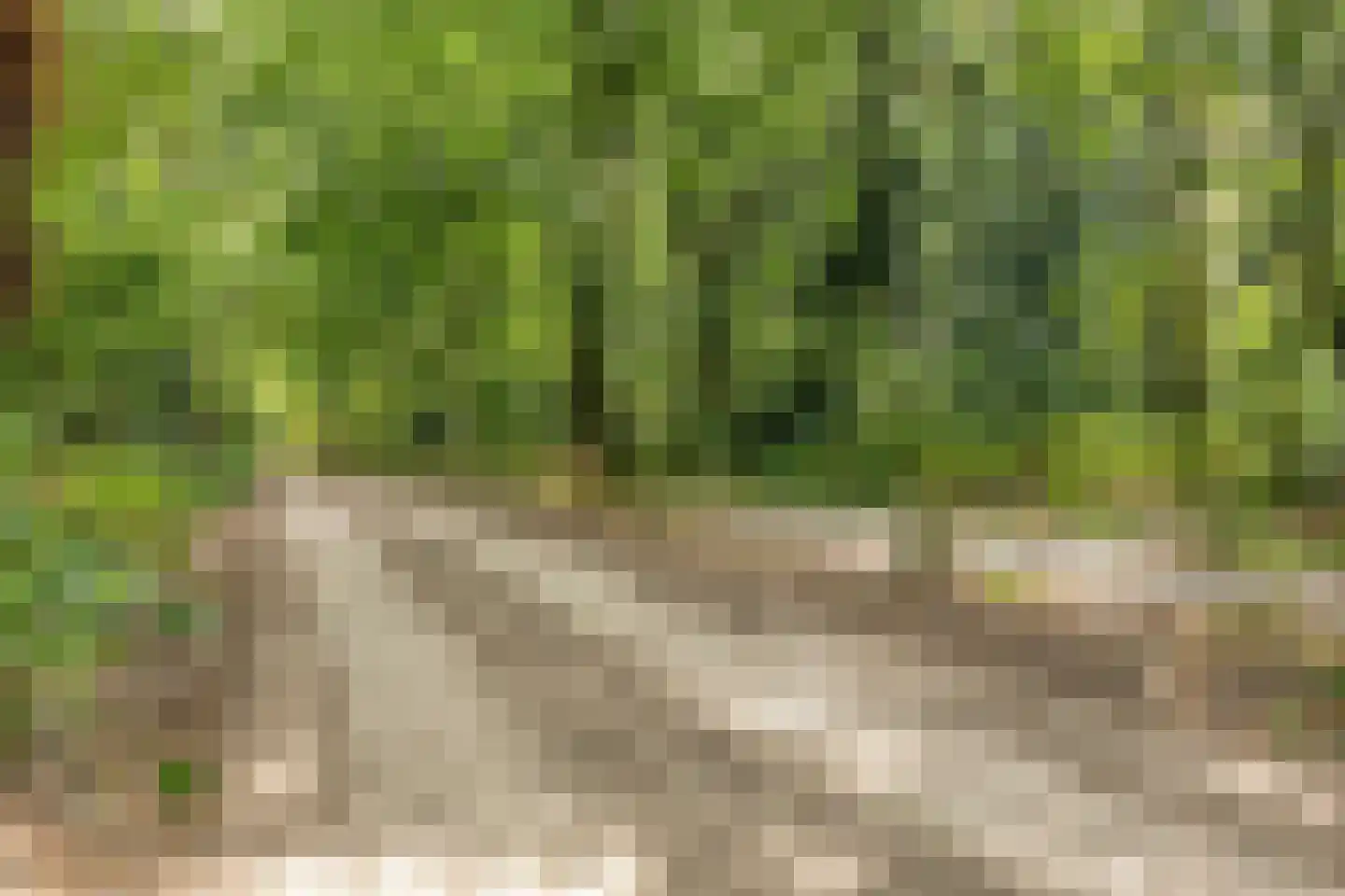 Nieuwhuis 23 Mierlo thumbnail 39