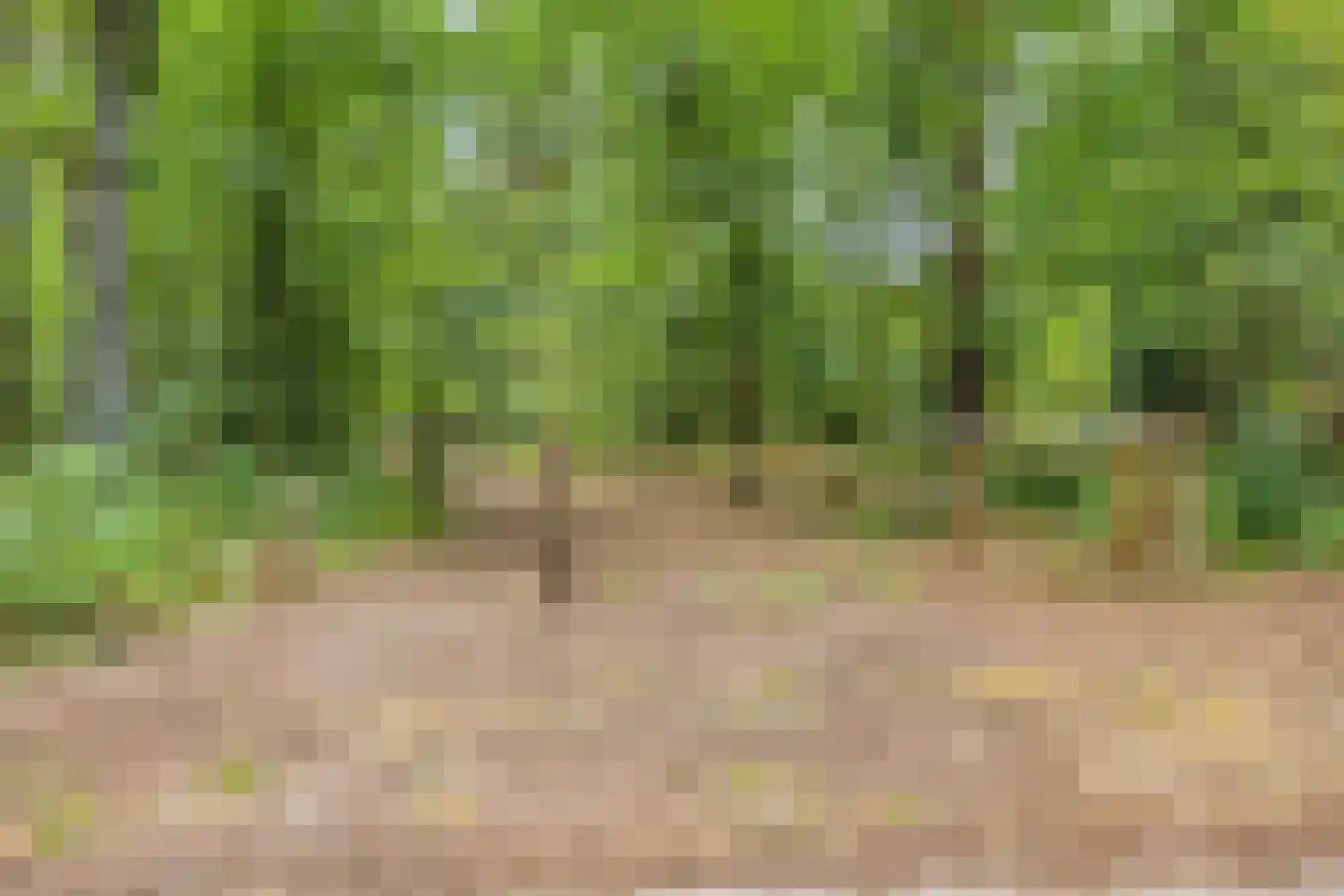 Nieuwhuis 23 Mierlo thumbnail 40