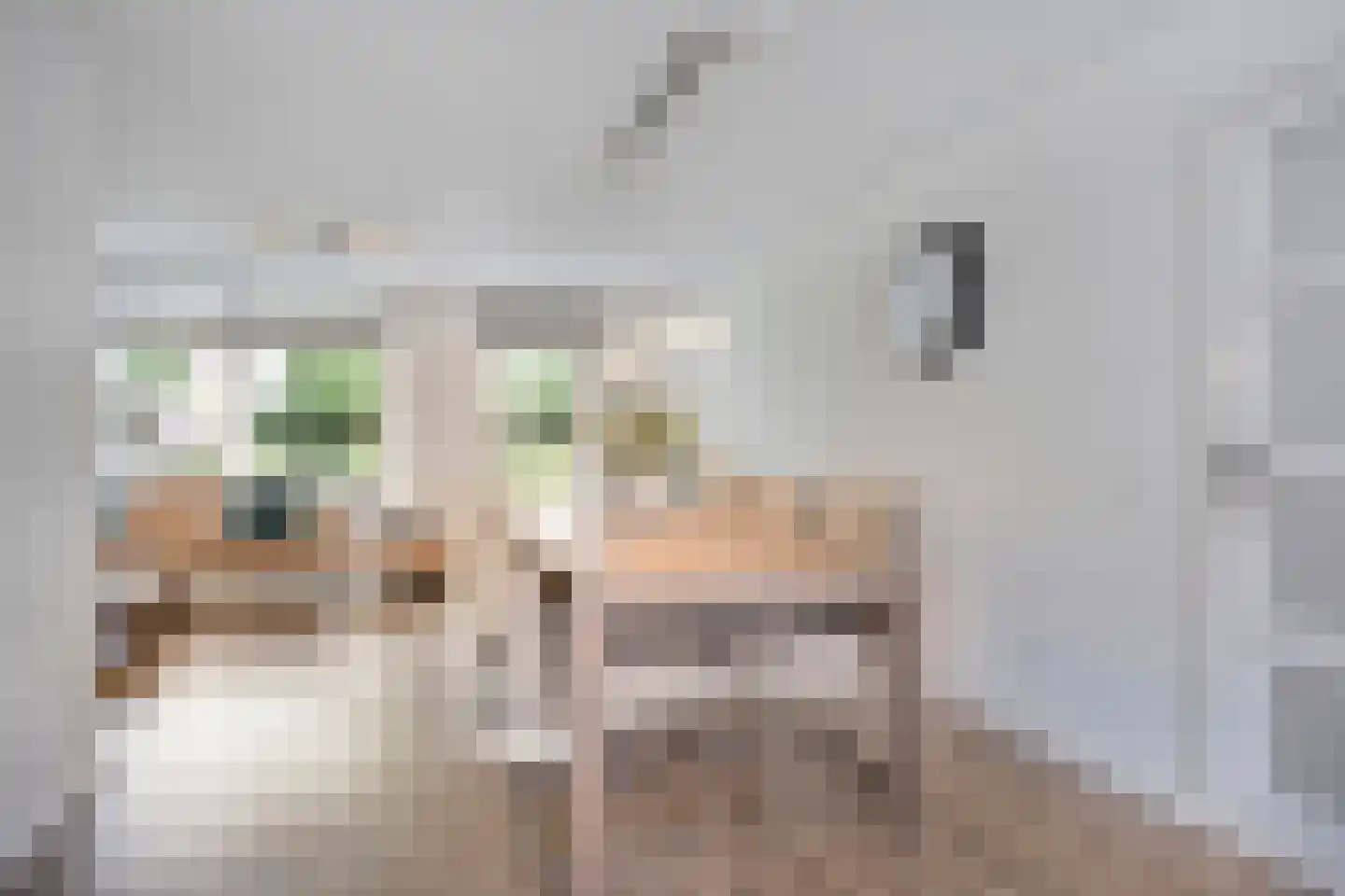 Nieuwhuis 23 Mierlo thumbnail 7