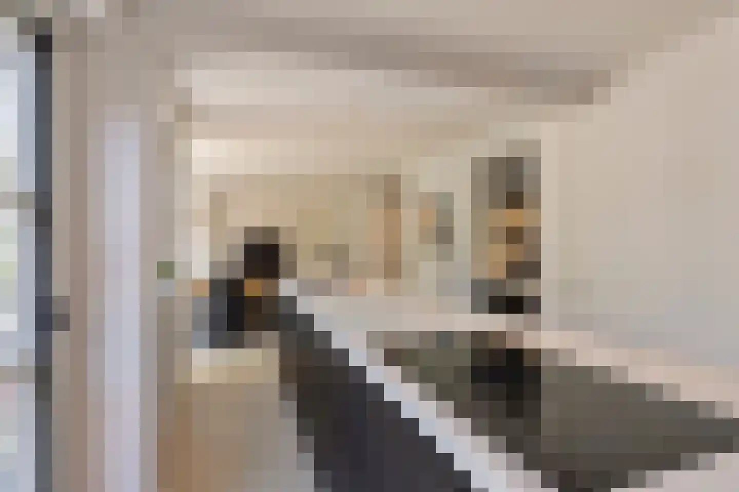 Nieuwhuis 8 Mierlo thumbnail 17