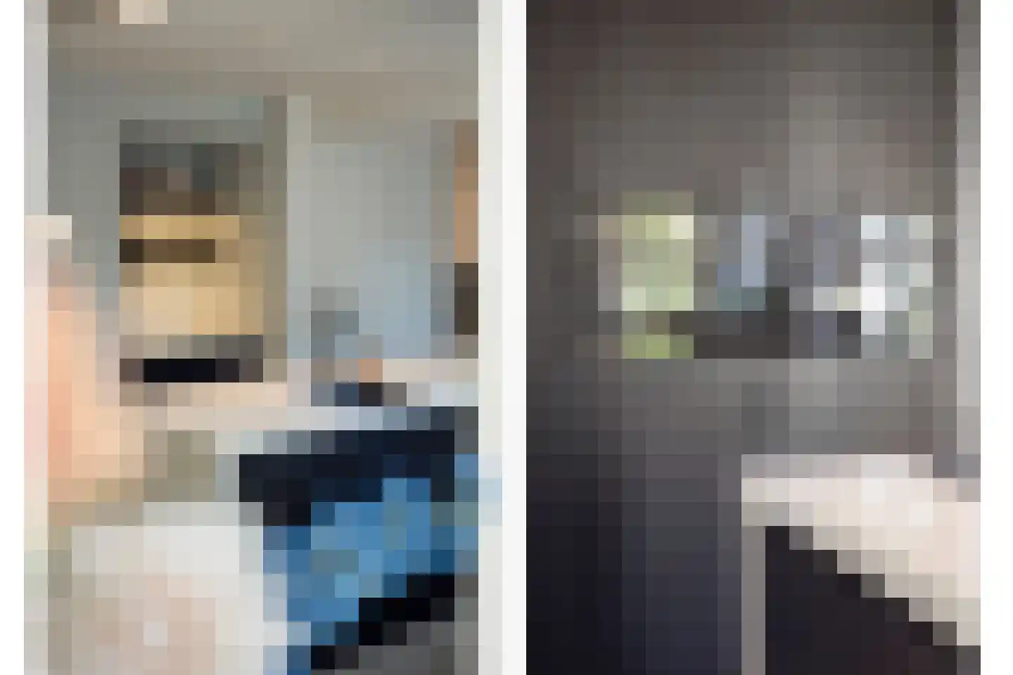 Nieuwhuis 8 Mierlo thumbnail 18