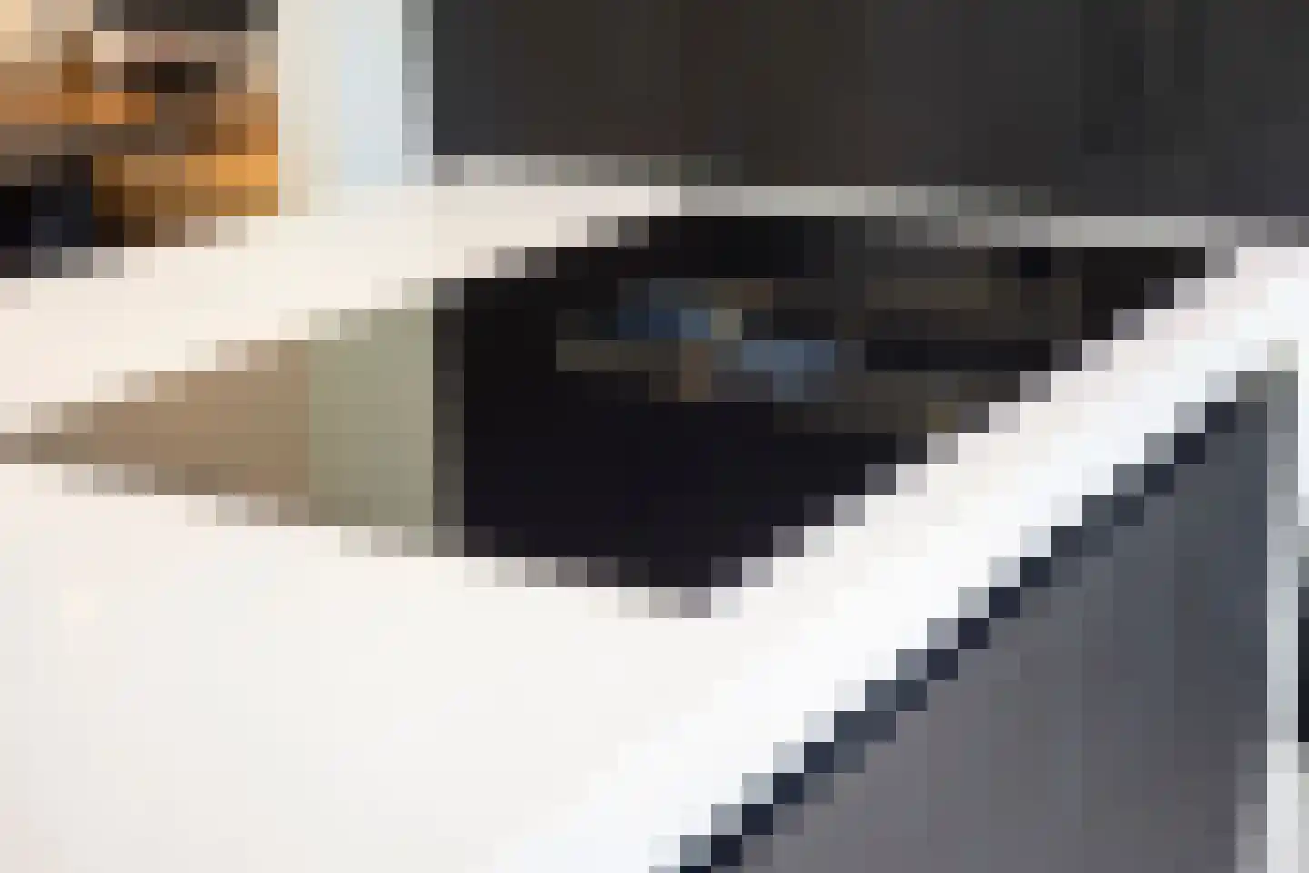 Nieuwhuis 8 Mierlo thumbnail 21
