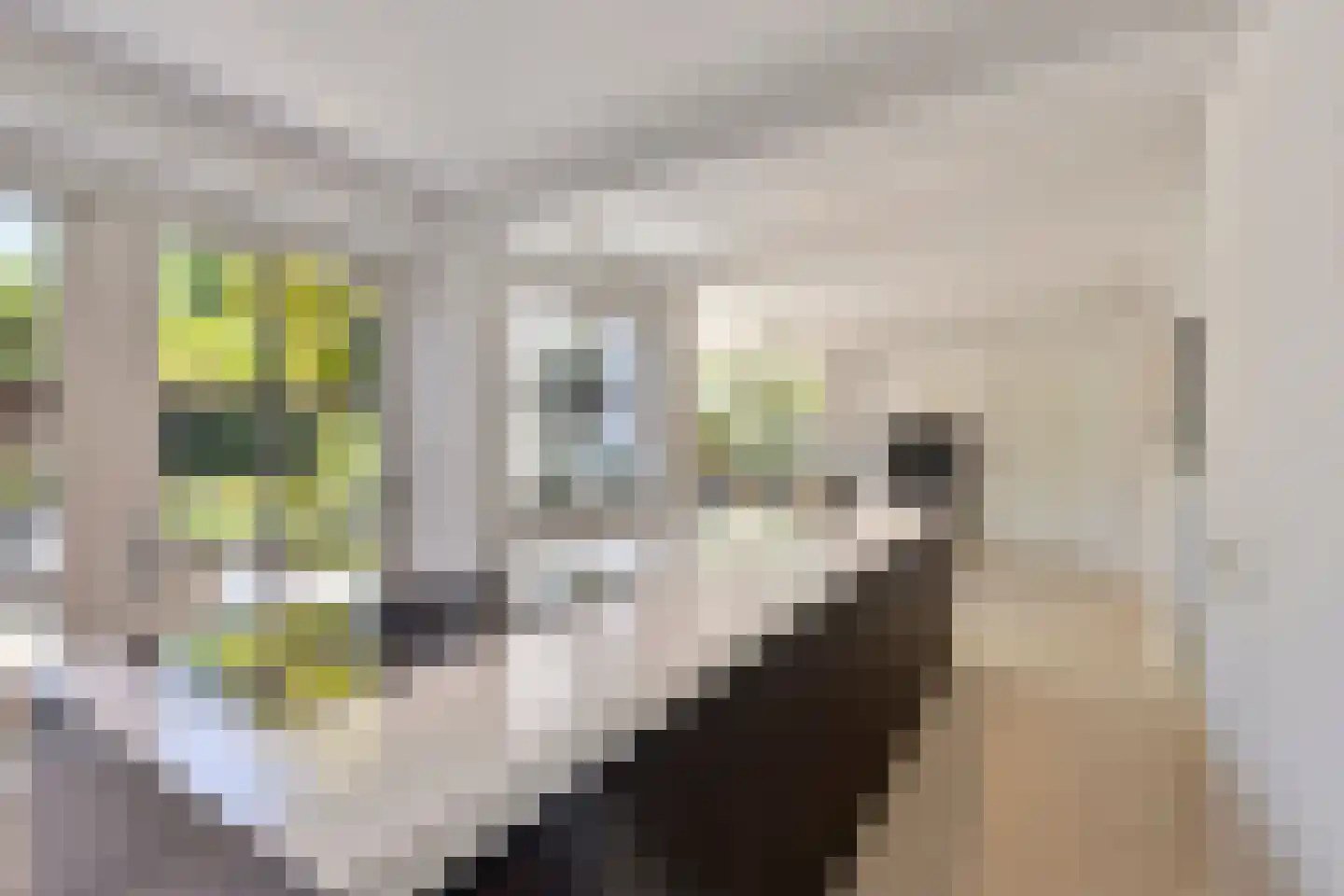 Nieuwhuis 8 Mierlo thumbnail 22
