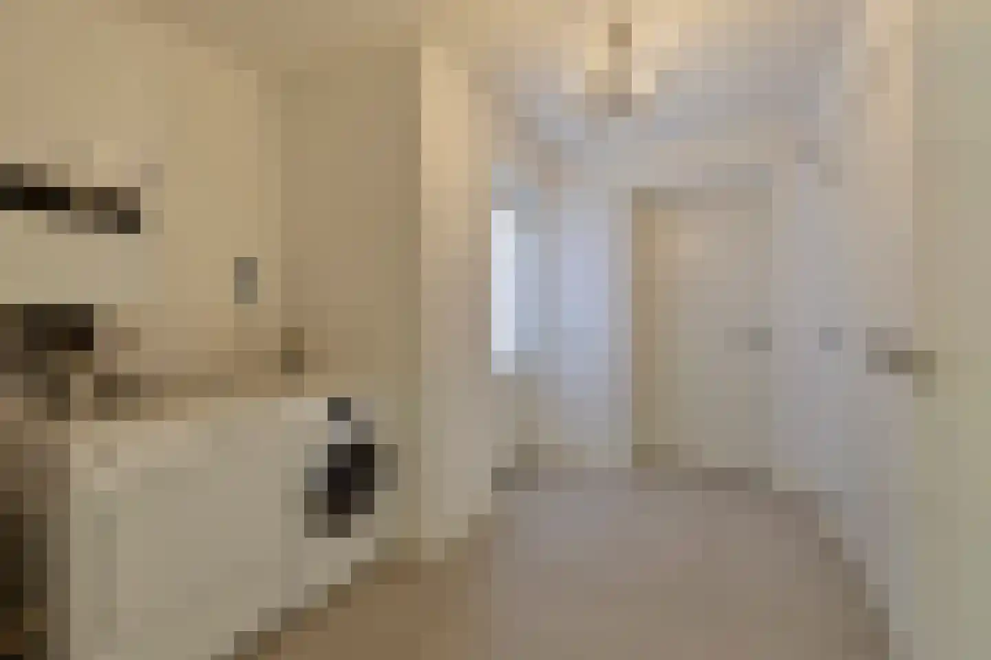 Nieuwhuis 8 Mierlo thumbnail 27