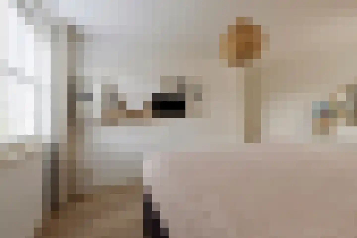 Nieuwhuis 8 Mierlo thumbnail 33