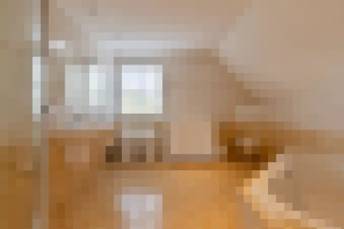 Nieuwhuis 8 Mierlo thumbnail 34