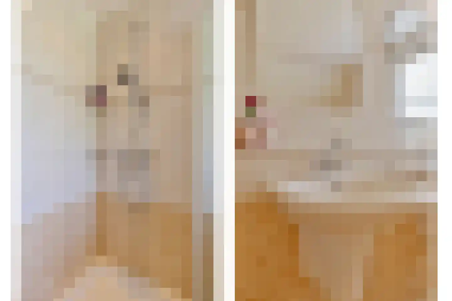 Nieuwhuis 8 Mierlo thumbnail 36