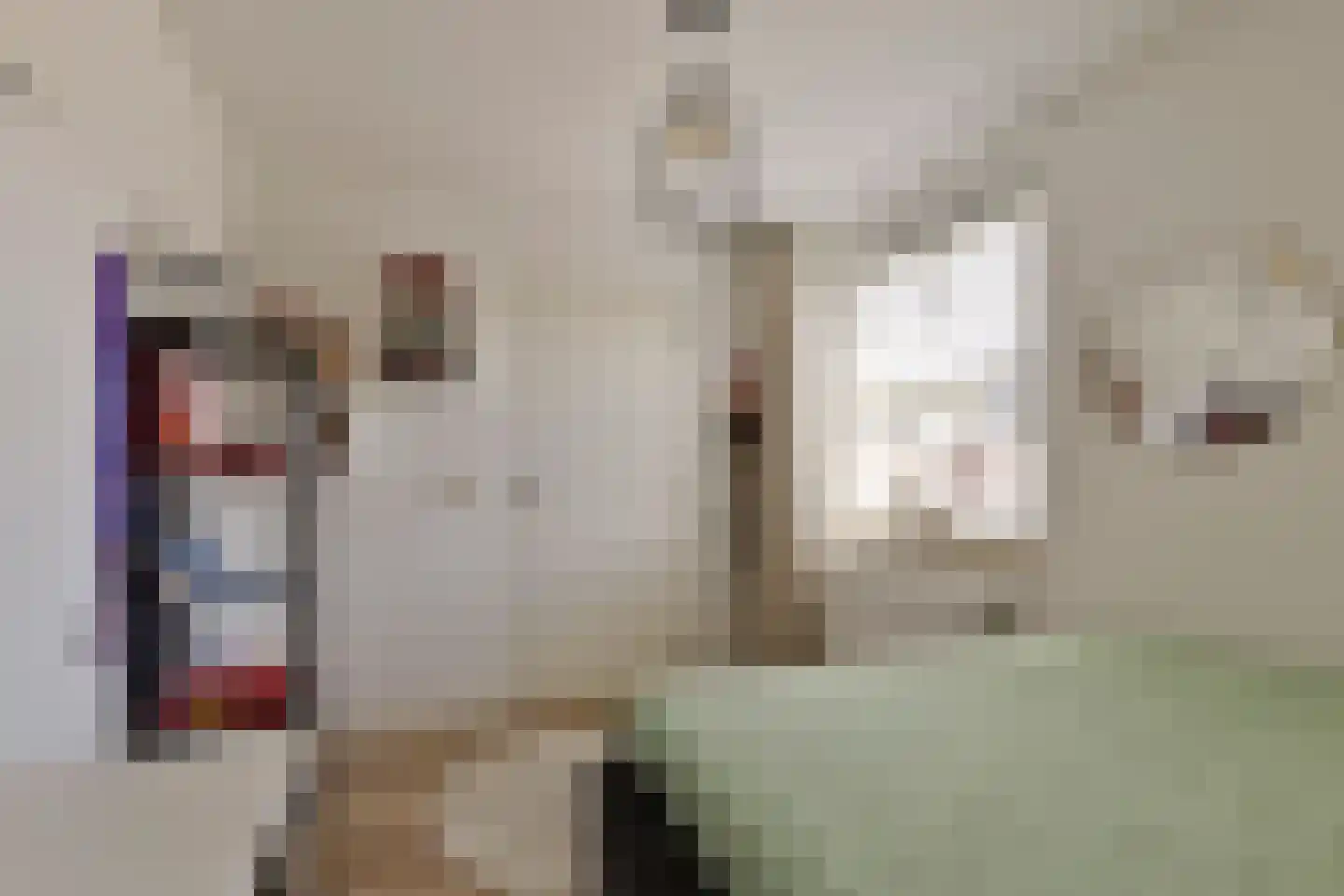 Nieuwhuis 8 Mierlo thumbnail 38