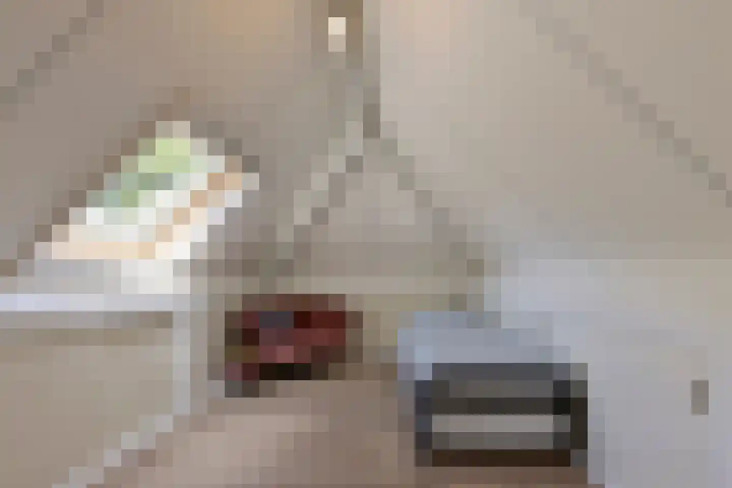 Nieuwhuis 8 Mierlo thumbnail 39