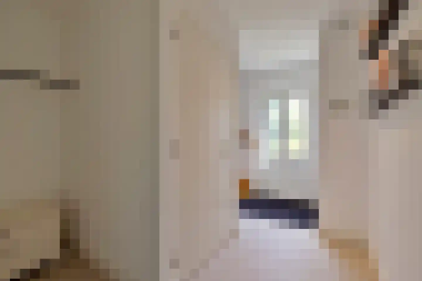 Nieuwhuis 8 Mierlo thumbnail 4