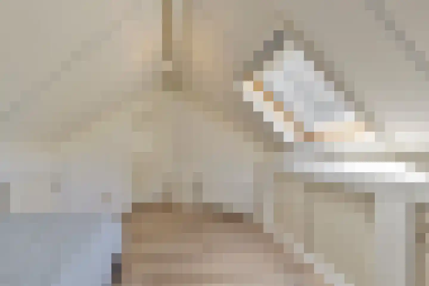 Nieuwhuis 8 Mierlo thumbnail 40