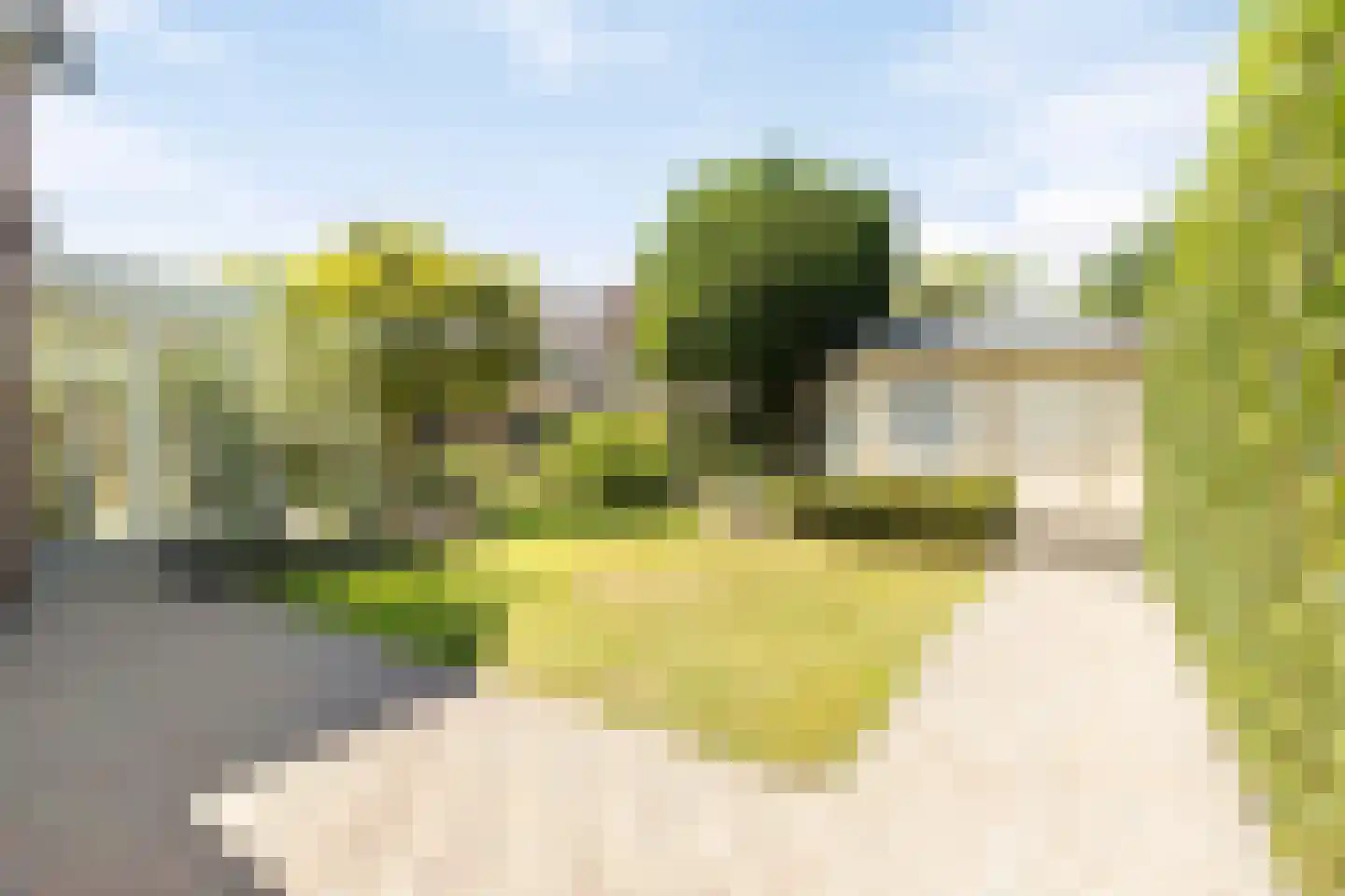 Nieuwhuis 8 Mierlo thumbnail 41