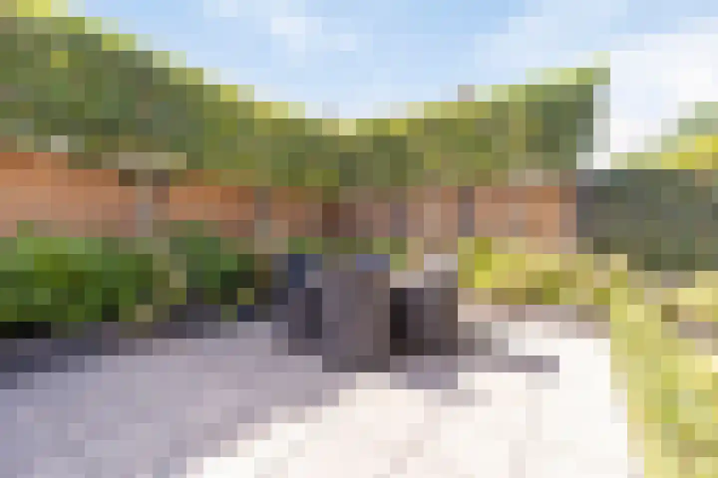 Nieuwhuis 8 Mierlo thumbnail 43