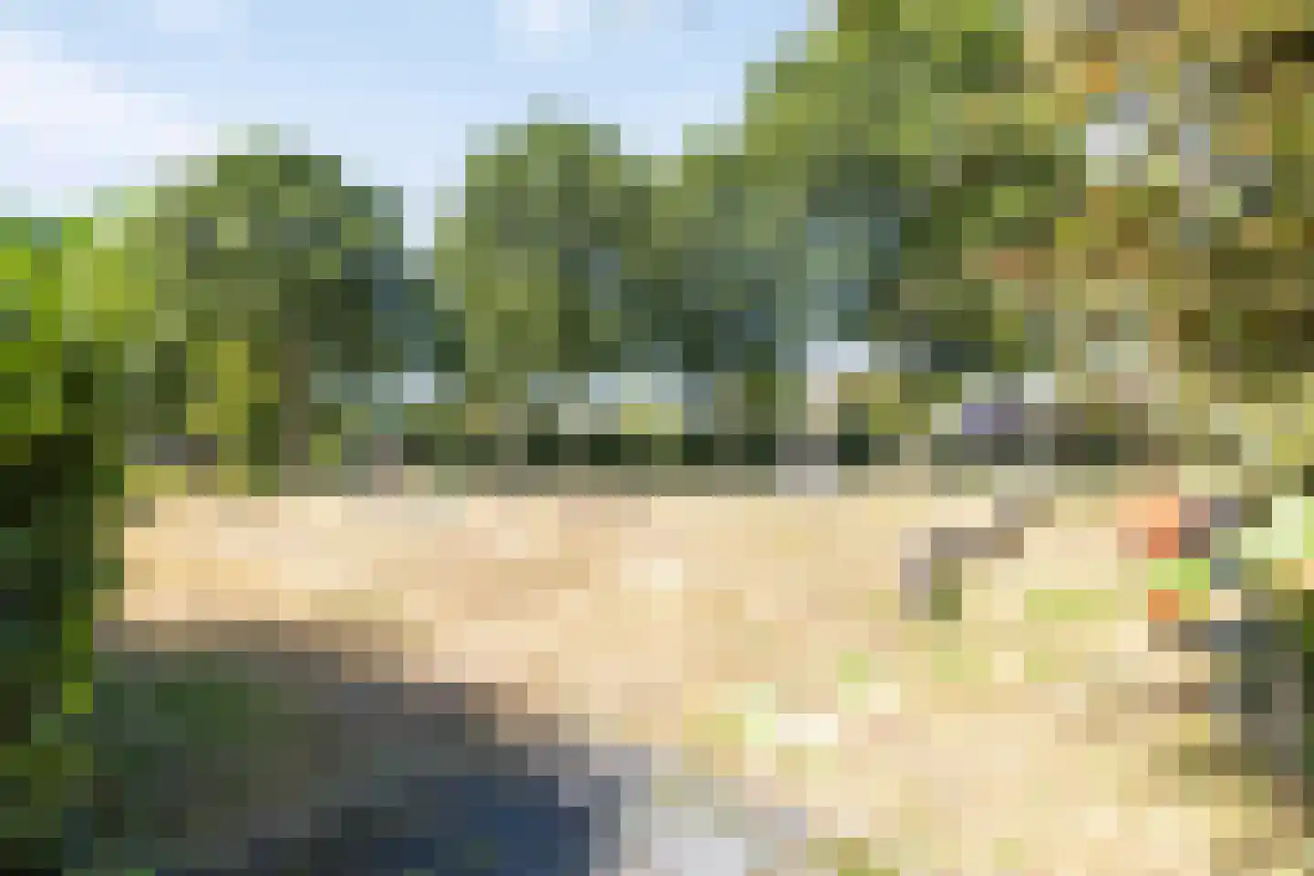 Nieuwhuis 8 Mierlo thumbnail 47