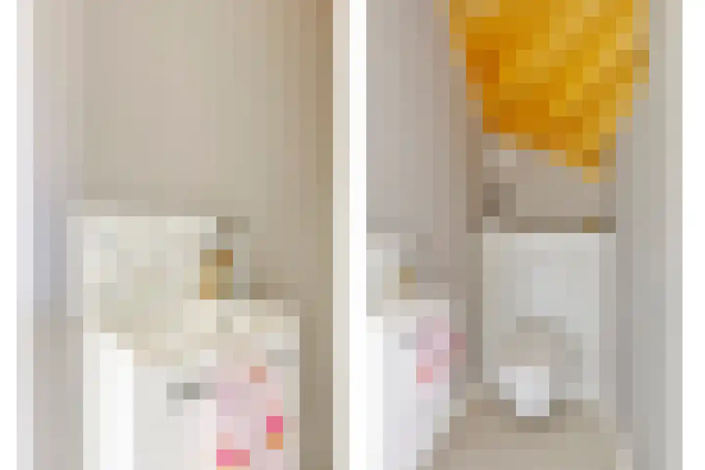 Nieuwhuis 8 Mierlo thumbnail 5