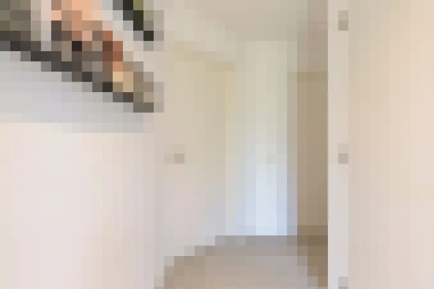 Nieuwhuis 8 Mierlo thumbnail 6