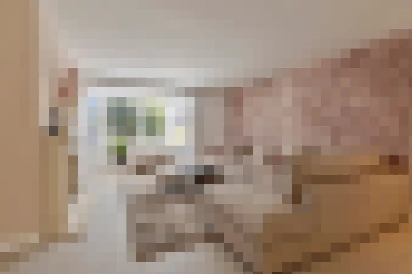 Nieuwhuis 8 Mierlo thumbnail 7