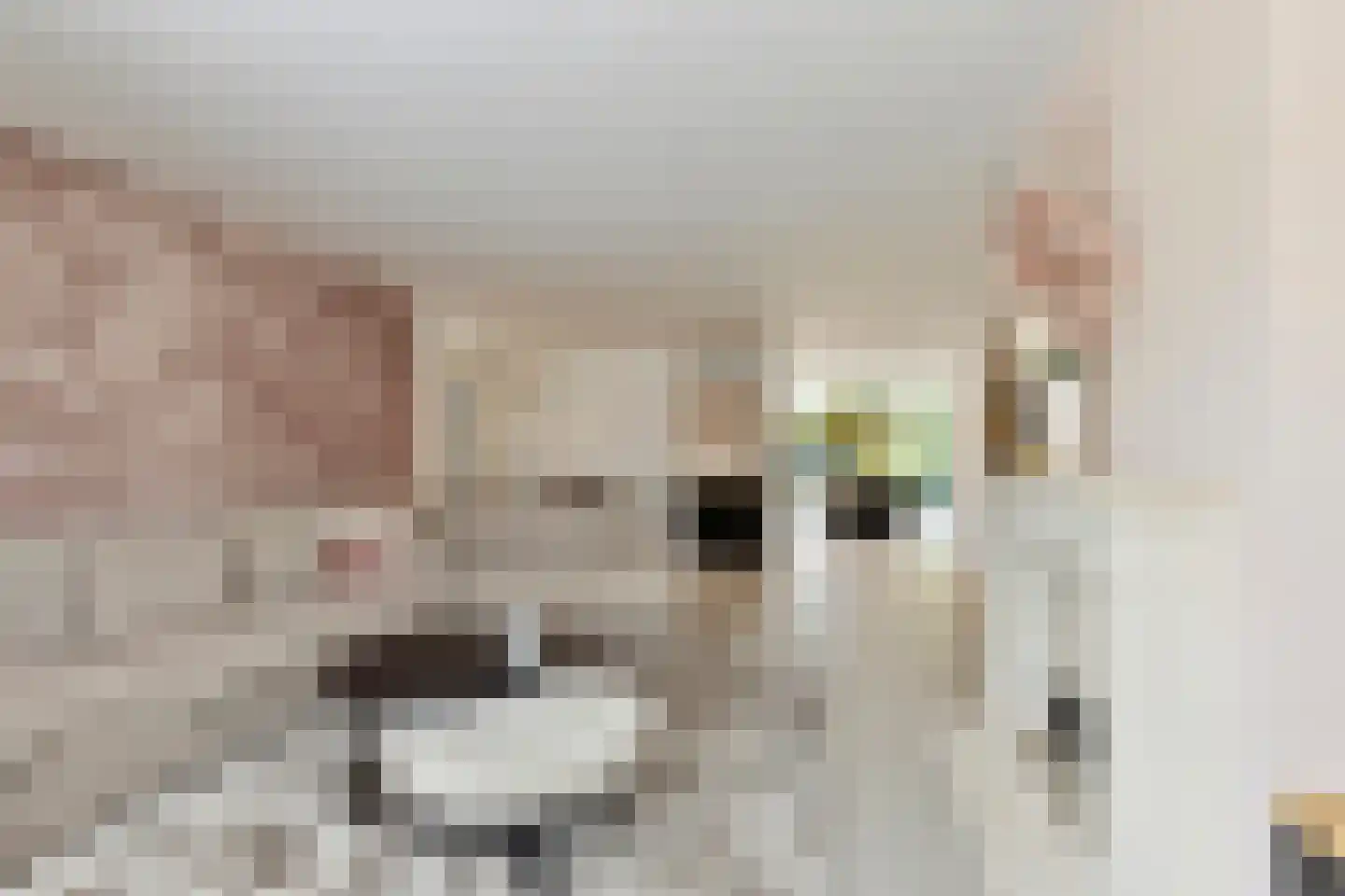 Nieuwhuis 8 Mierlo thumbnail 8