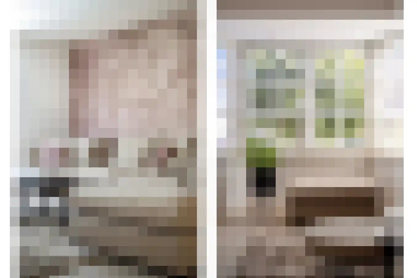 Nieuwhuis 8 Mierlo thumbnail 9