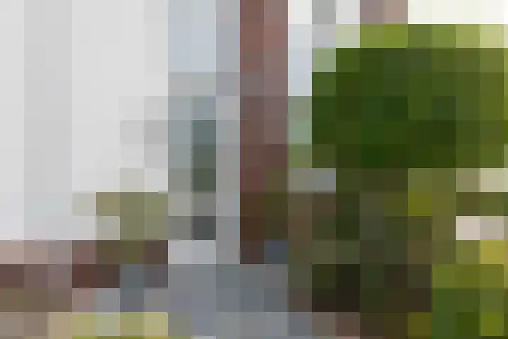 Nieuwkamppad 1 Zevenaar thumbnail 13