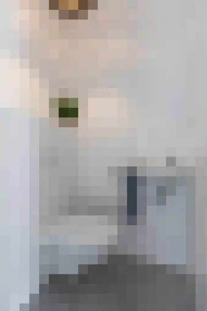 Nieuwkamppad 1 Zevenaar thumbnail 16