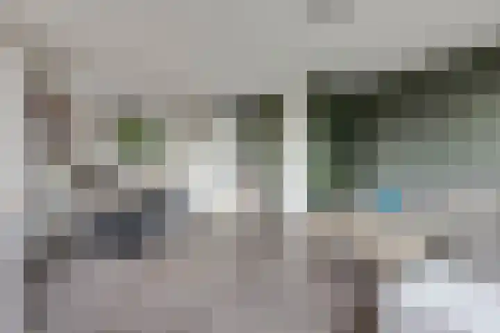 Nieuwkamppad 1 Zevenaar thumbnail 19