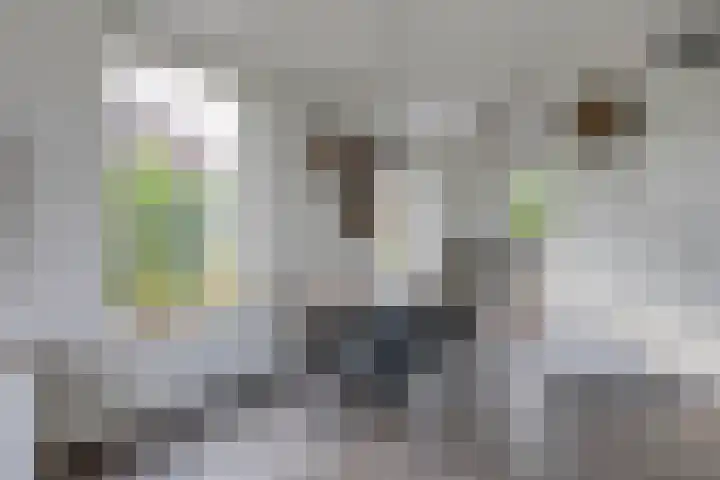 Nieuwkamppad 1 Zevenaar thumbnail 20