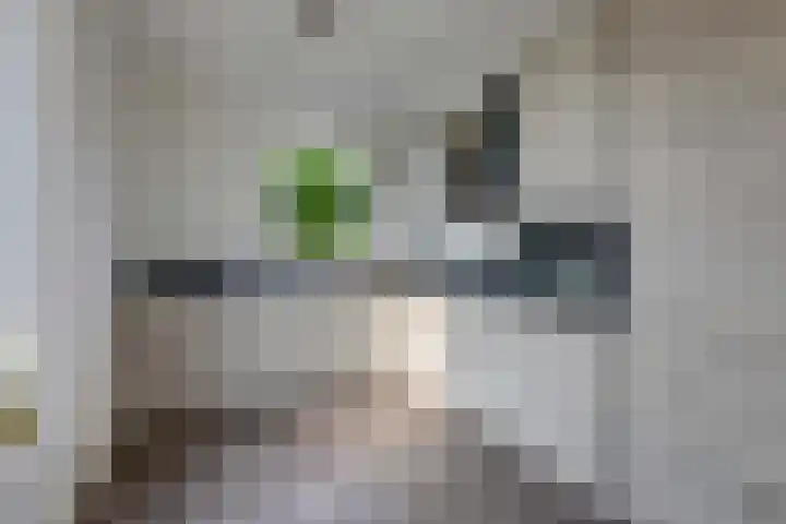Nieuwkamppad 1 Zevenaar thumbnail 23