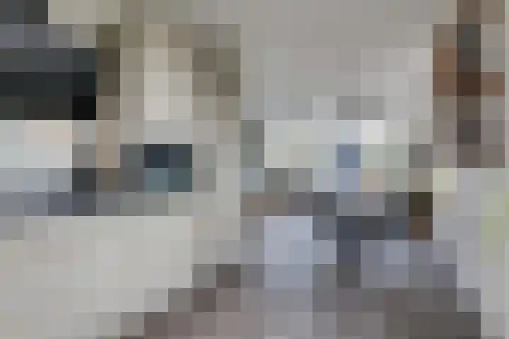 Nieuwkamppad 1 Zevenaar thumbnail 25